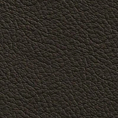 Pele Natural / Cor Preta R.112 =