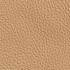 Pele Natural / Cor Creme R.325 =