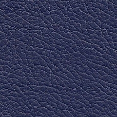 Pele Natural / Cor Azul R.514 =