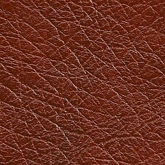 Pele Natural / Cor Castanho brilho R.505 =