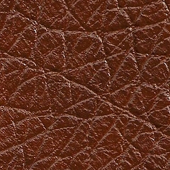 Pele Natural/ Castanho selvagem R.330 =