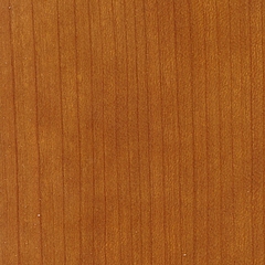 Cerejeira / Cerejeira Primavera 2