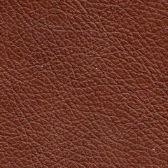 Pele Natural / Castanho Brilho R-951 =