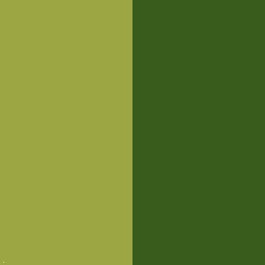 Faia + MDF / Verde+Verde Escuro