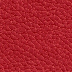 Pele Natural / Vermelho N56 =