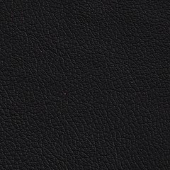 Pele Natural/ PN-112 Preto =