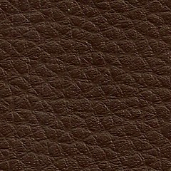 Pele Sint�cica / Castanho 451 Orapel