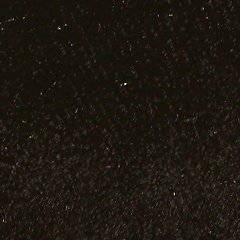 Veludo / Preto-901