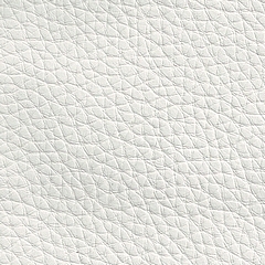 Pele Natural / Branco DOL-101 (Foto)