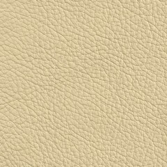 Pele Natural/ Beje C-895 =