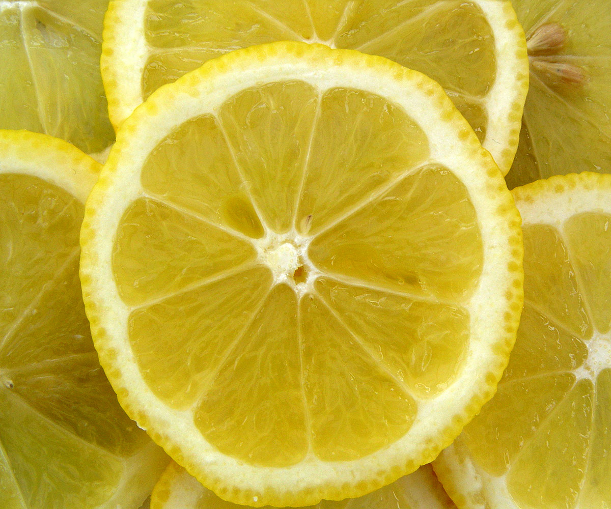 Quadro Rodelas de Limão