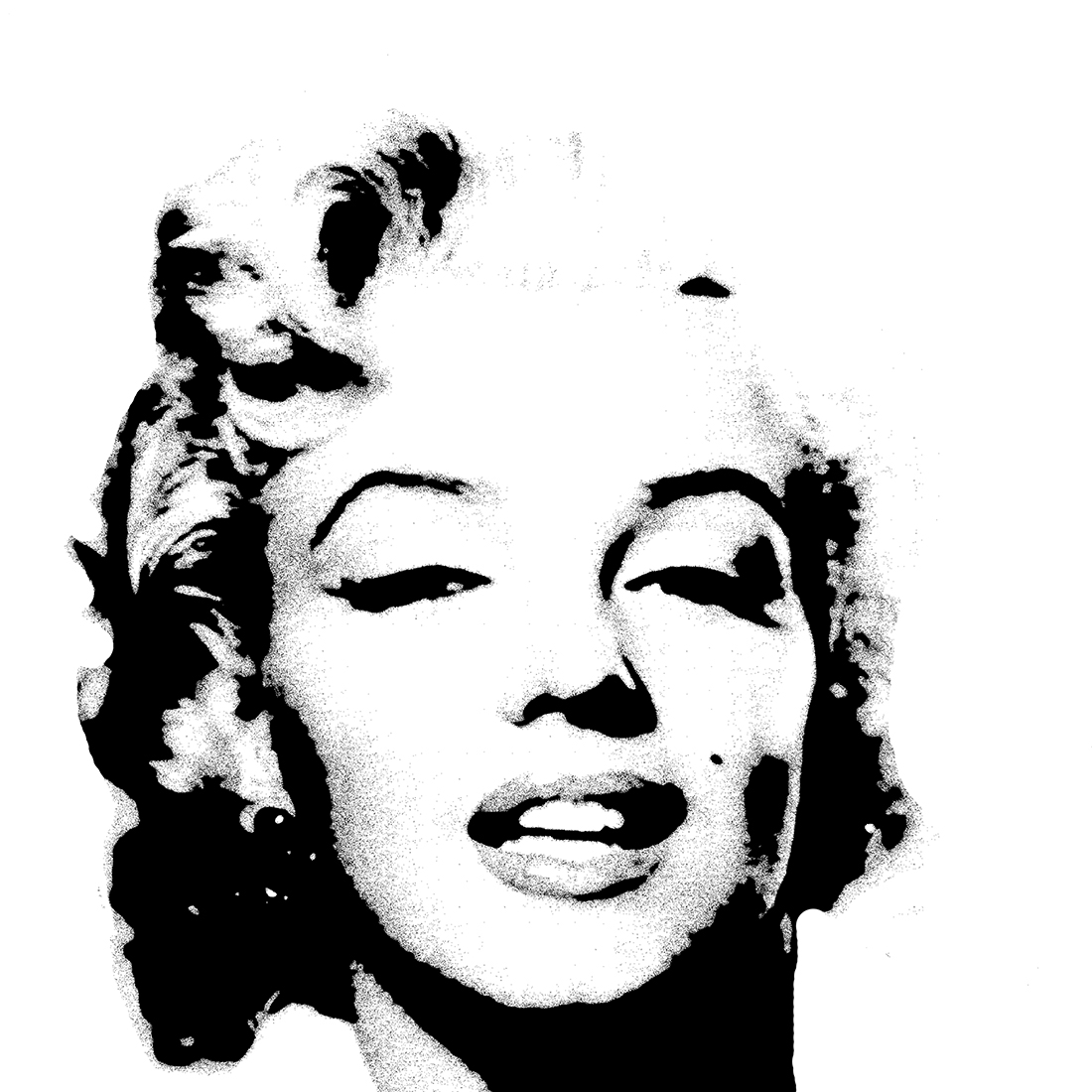 Quadro Marilyn Monroe Face