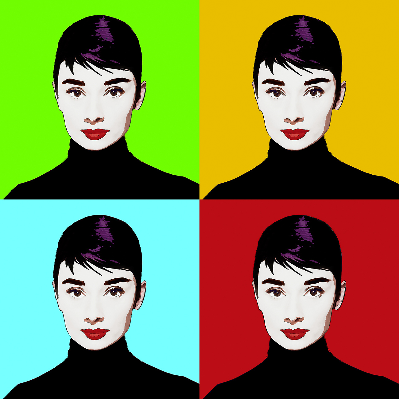 Quadro Audrey Color