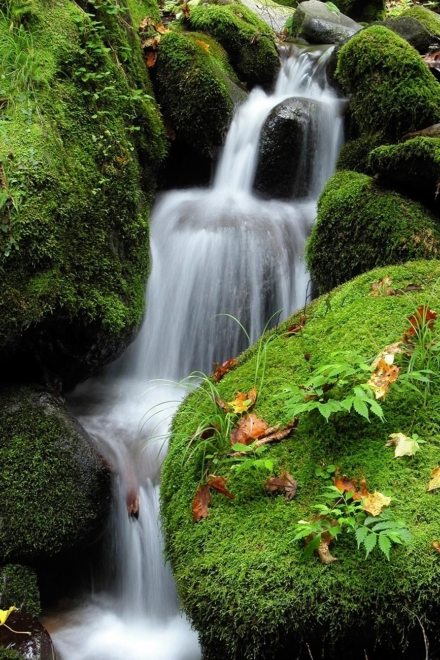 Quadro Cascata de Água Cristalina