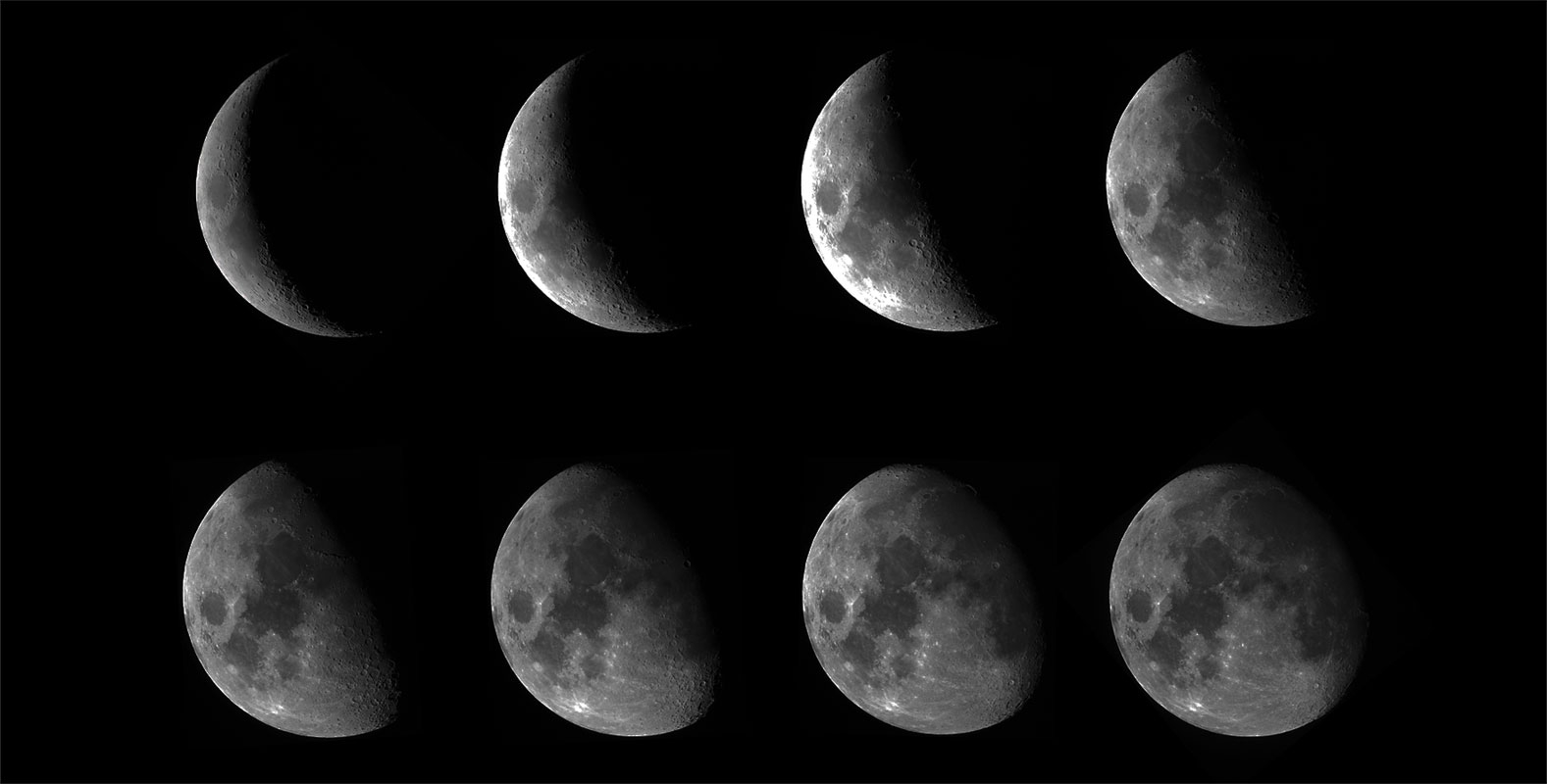 Quadro Fases da Lua 