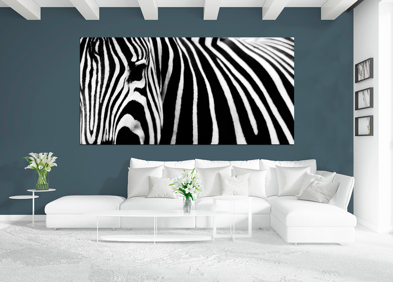 Quadro Zebra Horizontal