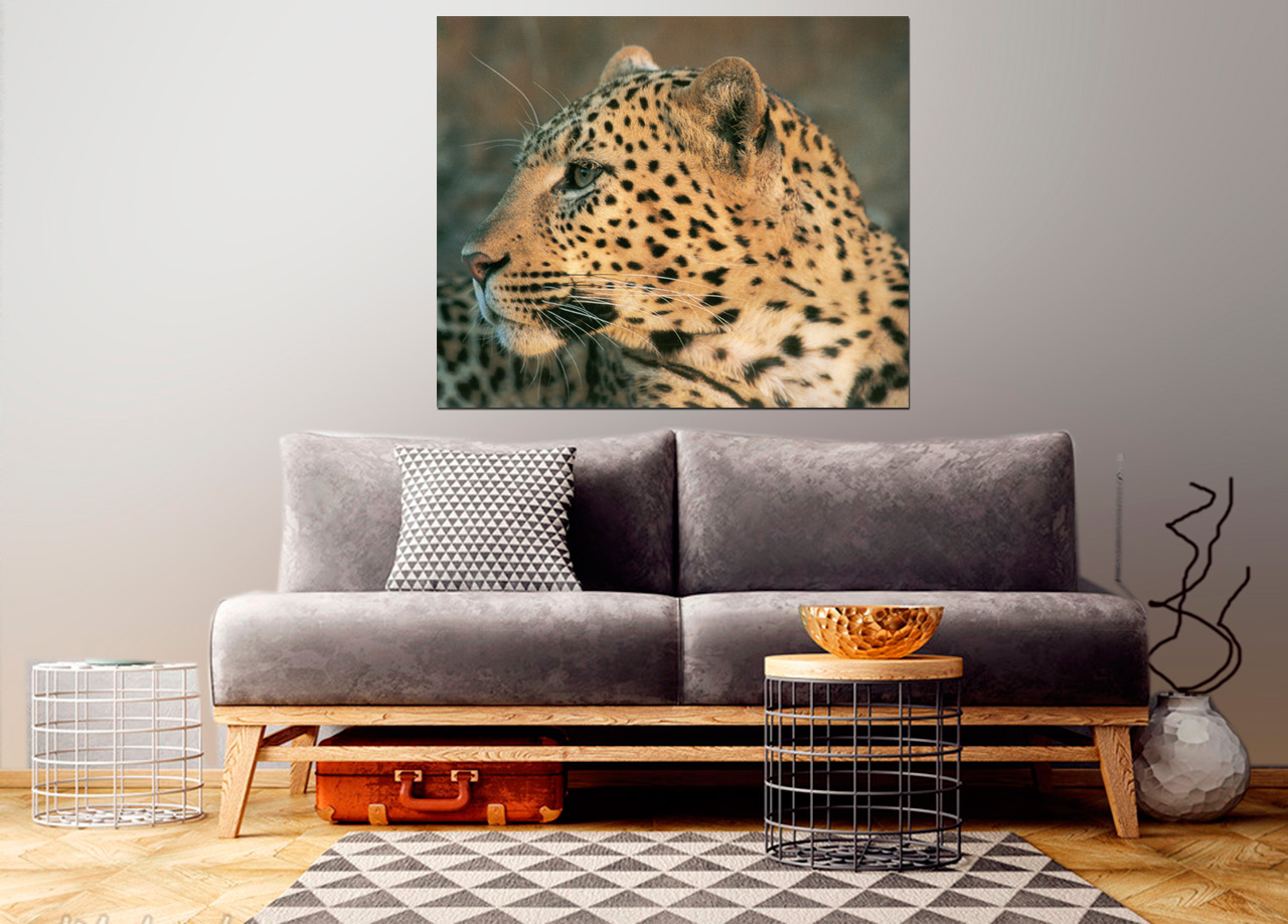 Quadro Rosto de Leopardo