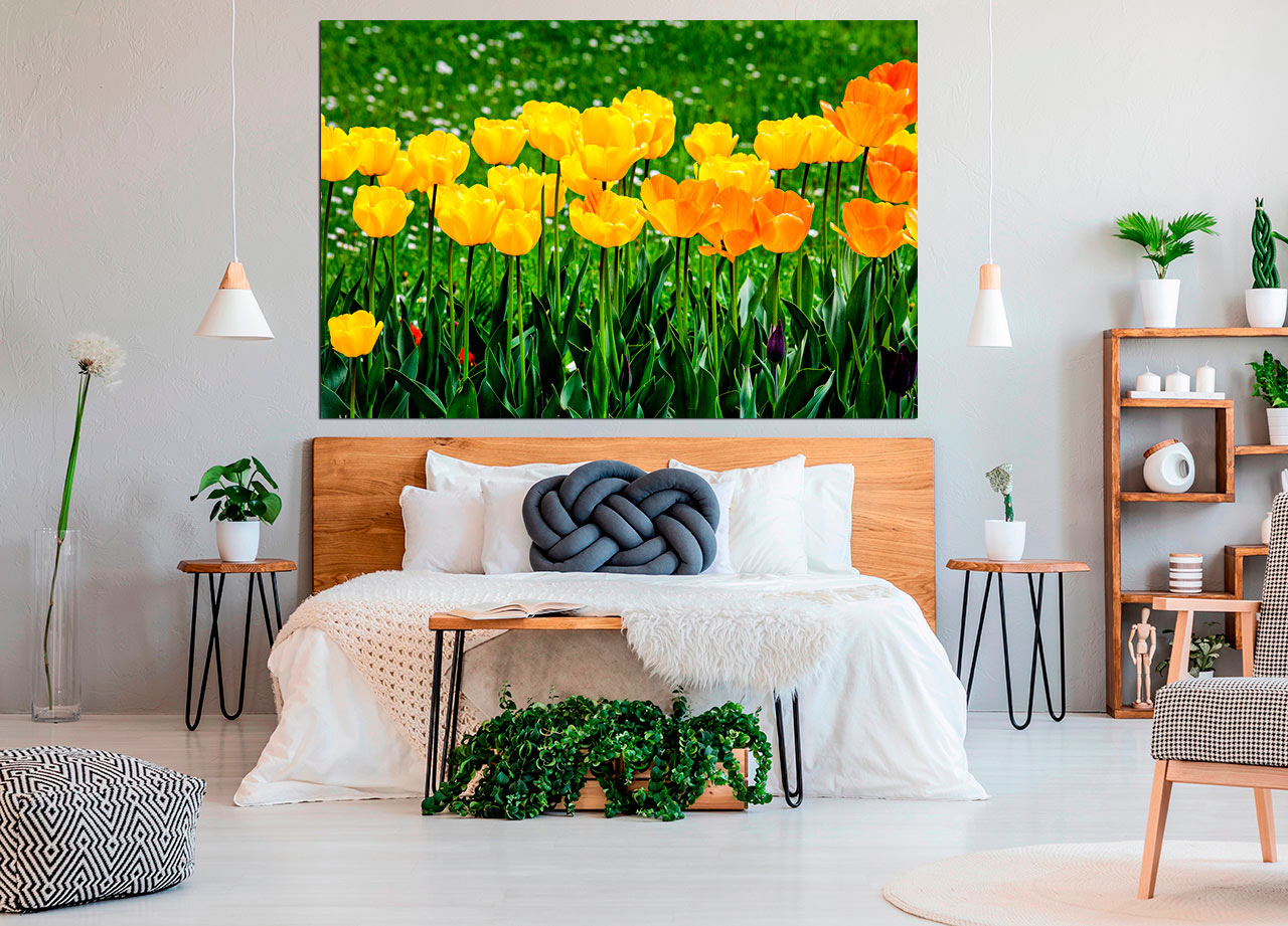 Pintura de campo de tulipas amarelas