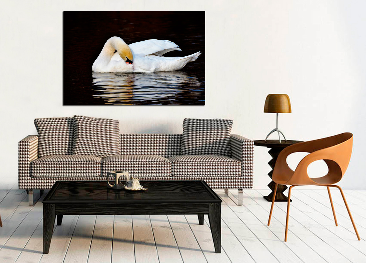 Pintura de cisne no lago