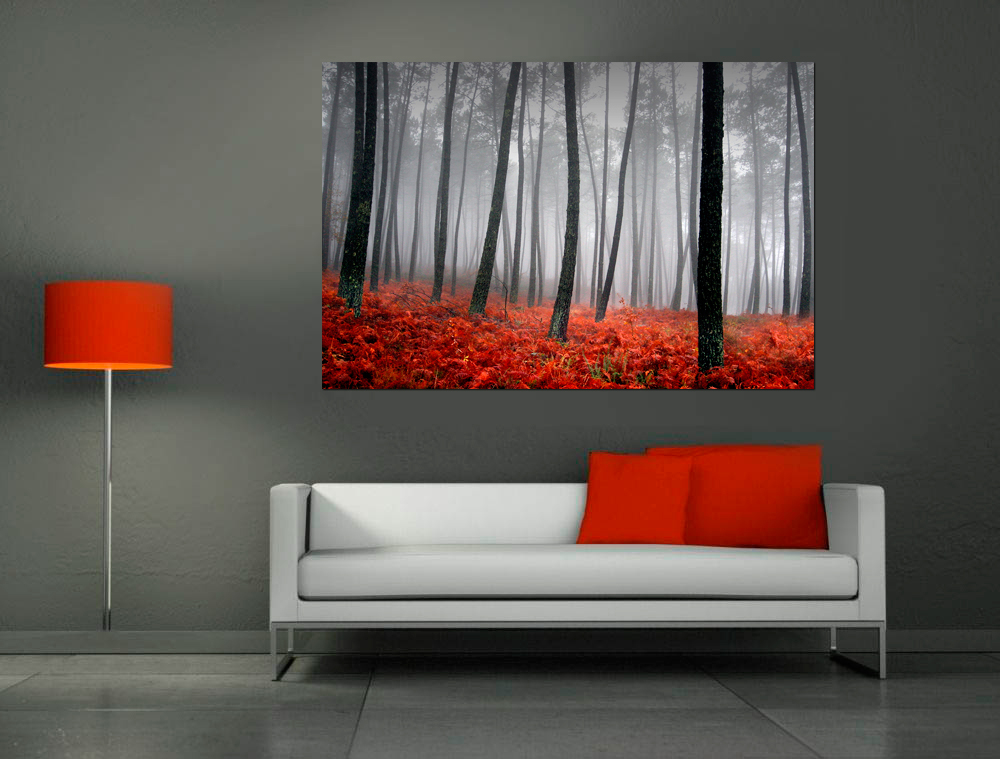 Quadro Bosque Vermelho 