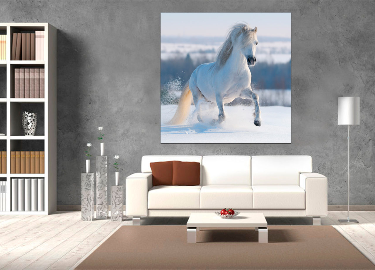 Quadro Cavalo Branco