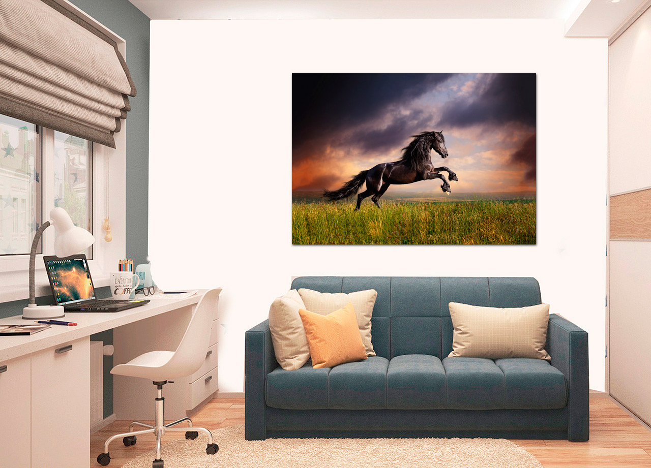 Quadro Cavalo Preto