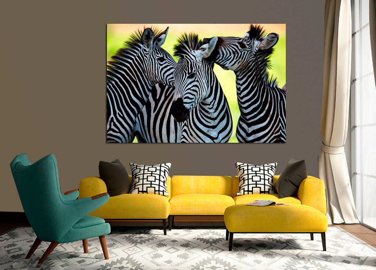 Quadro Cumplicidade de Zebras