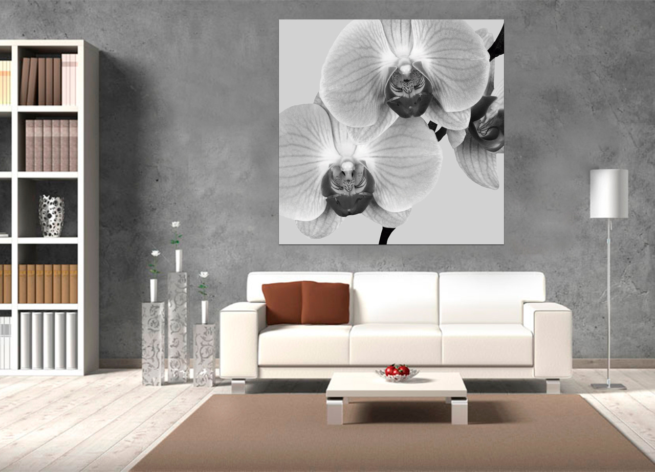 Quadro Orquídeas Brancas