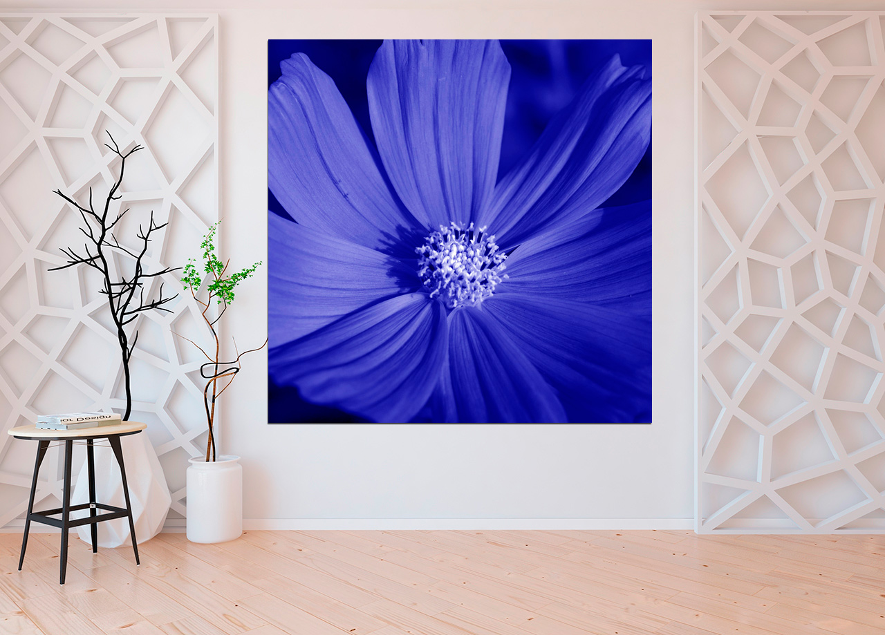 Quadro Florzita Azul