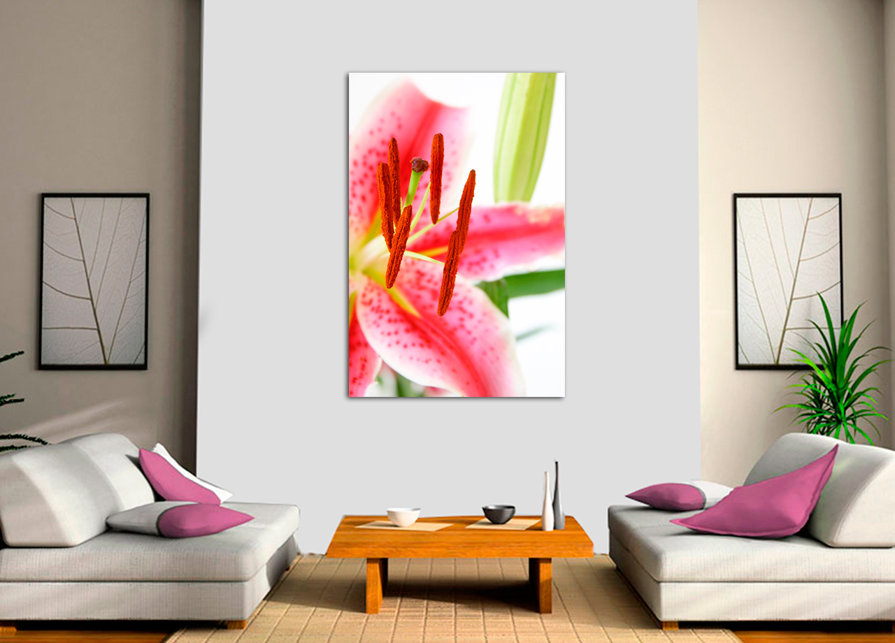 Quadro Linda Flor 