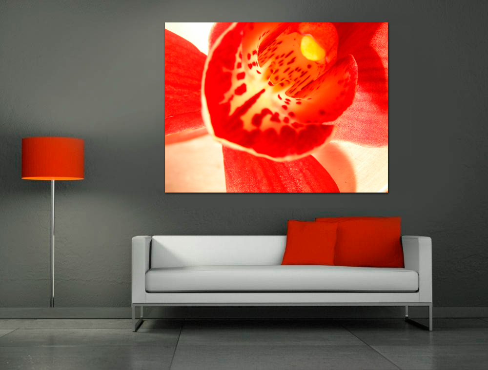 Quadro Vermelho de Orquídea