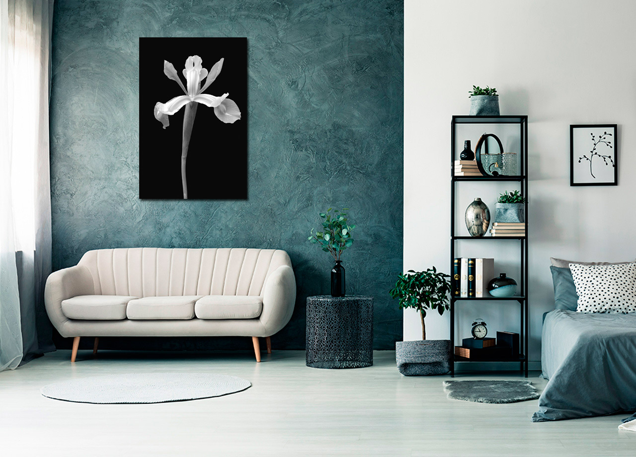 Pintura de flores em preto e branco