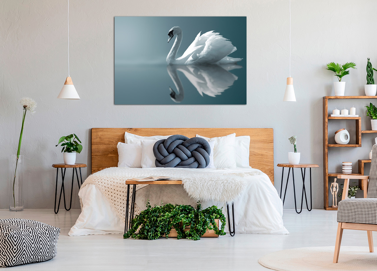 Quadro Reflexo de Cisne