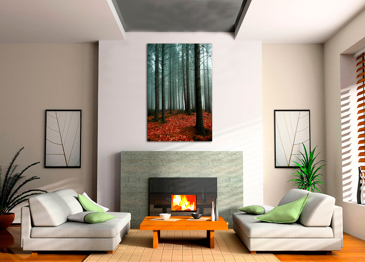 Quadro Bonito Bosque