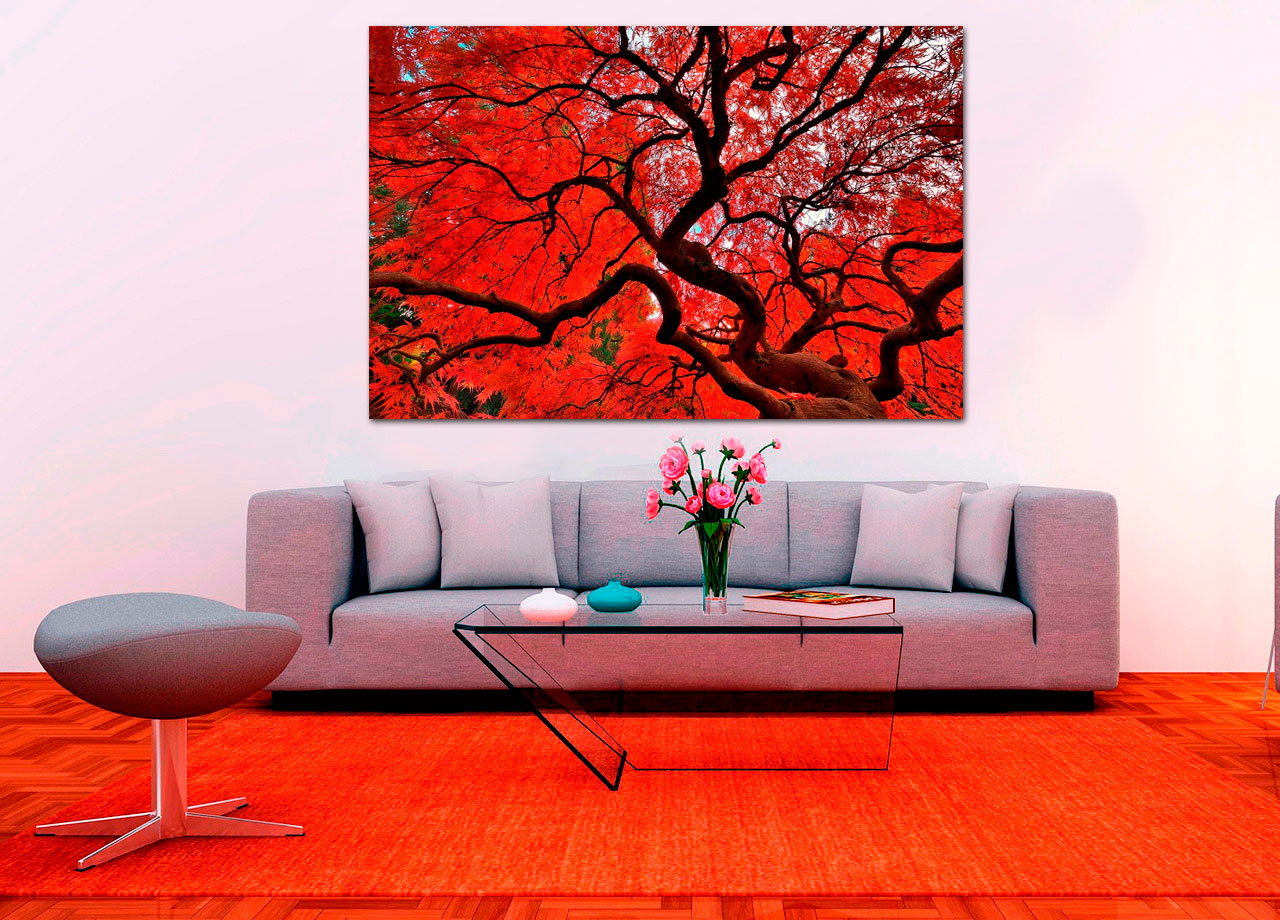 Quadro Árbol Rojo