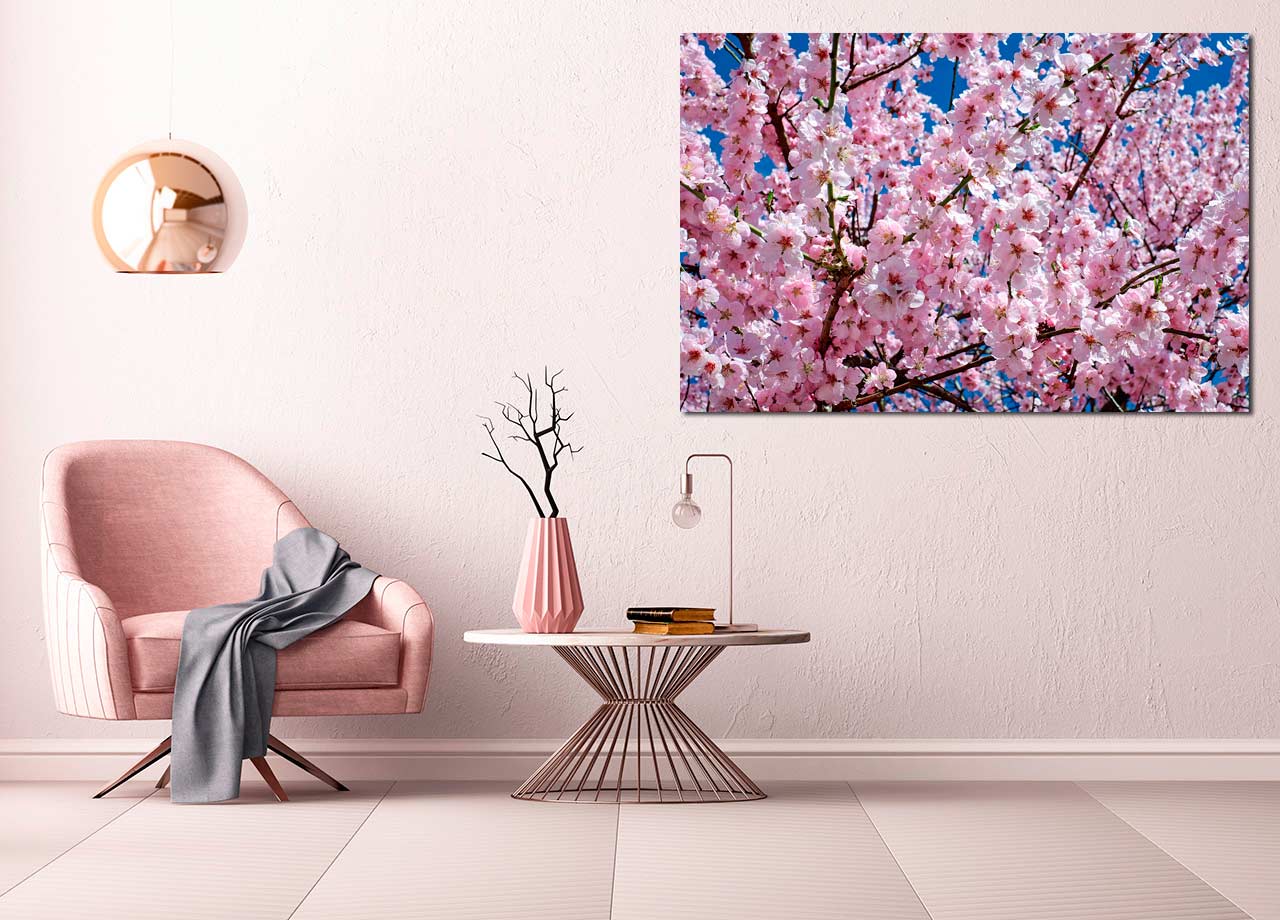 Pintura de flor de cerejeira