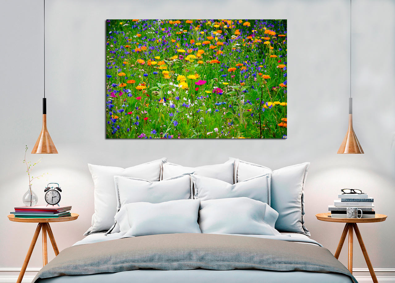 Pintura de flores silvestres