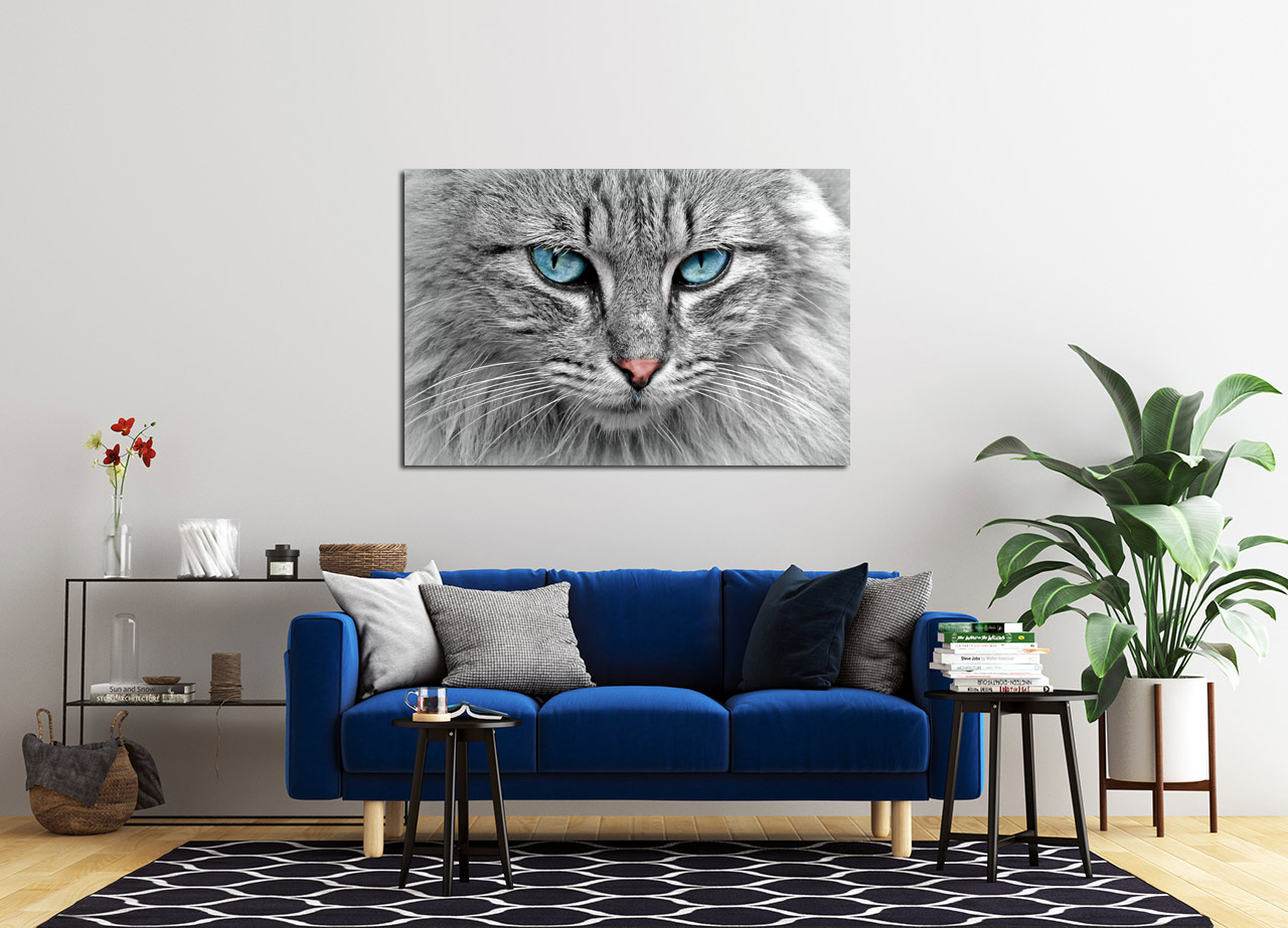 Pintura de gato