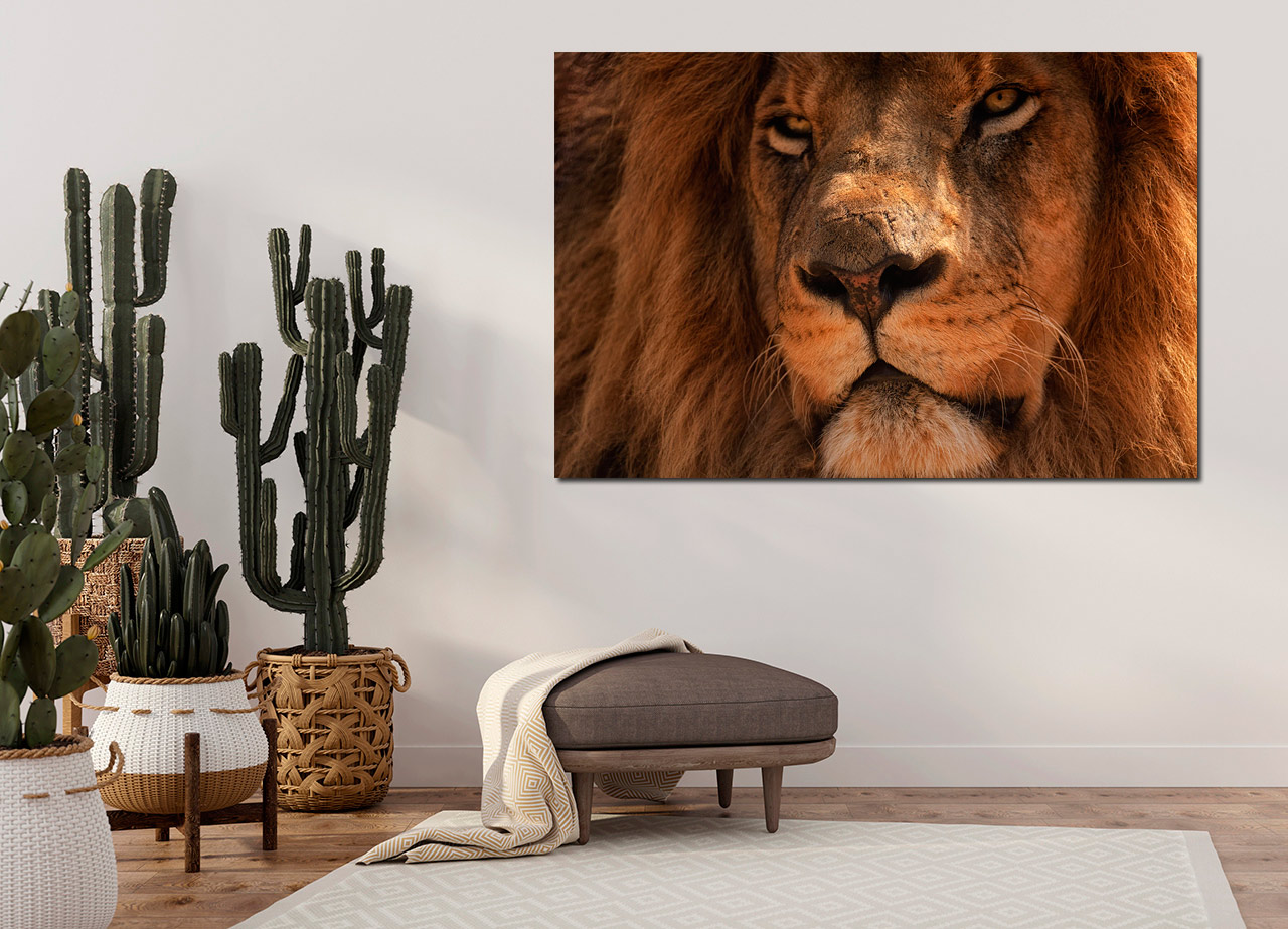 Pintura leonina
