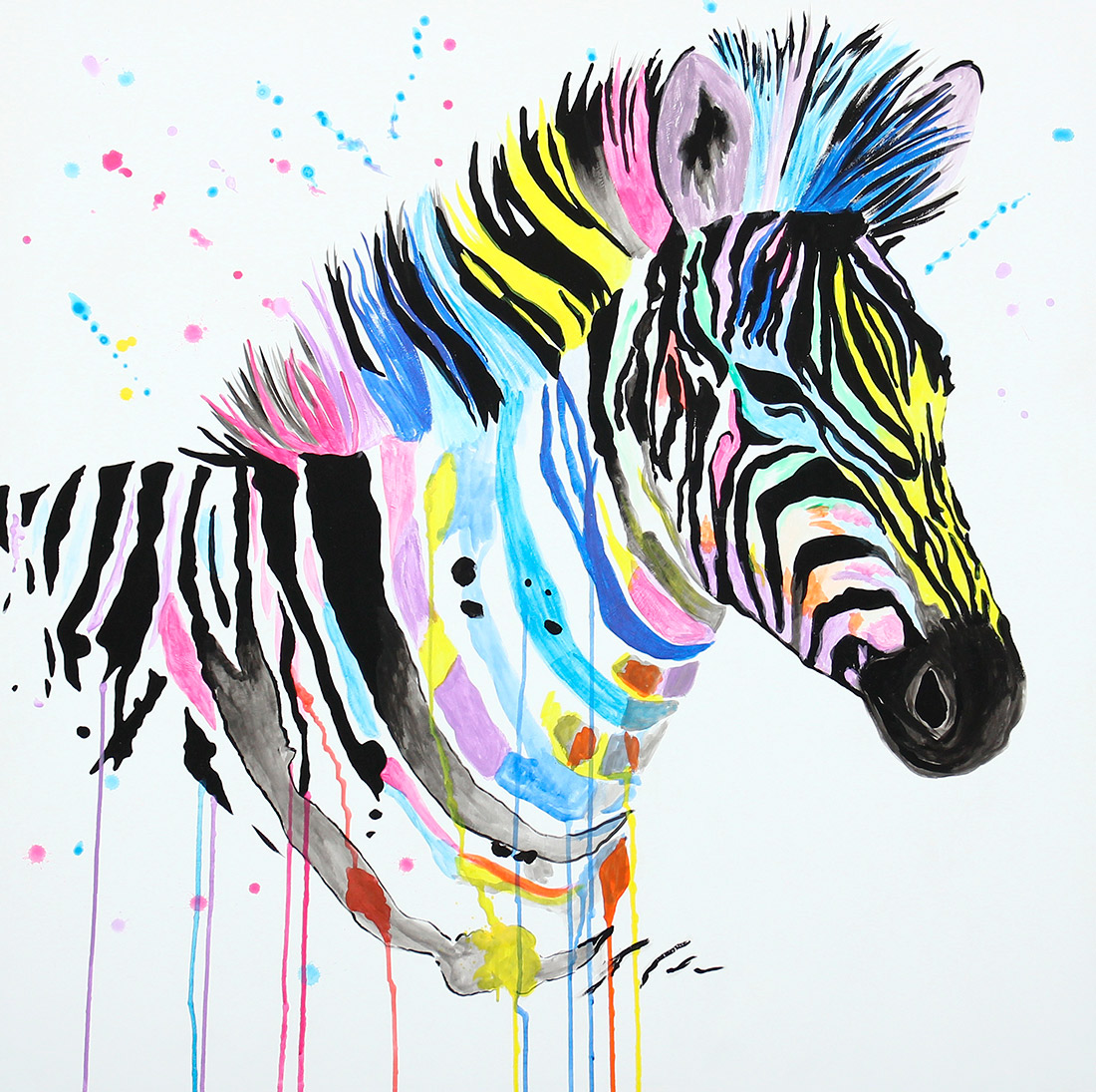 Quadro colorida de zebra