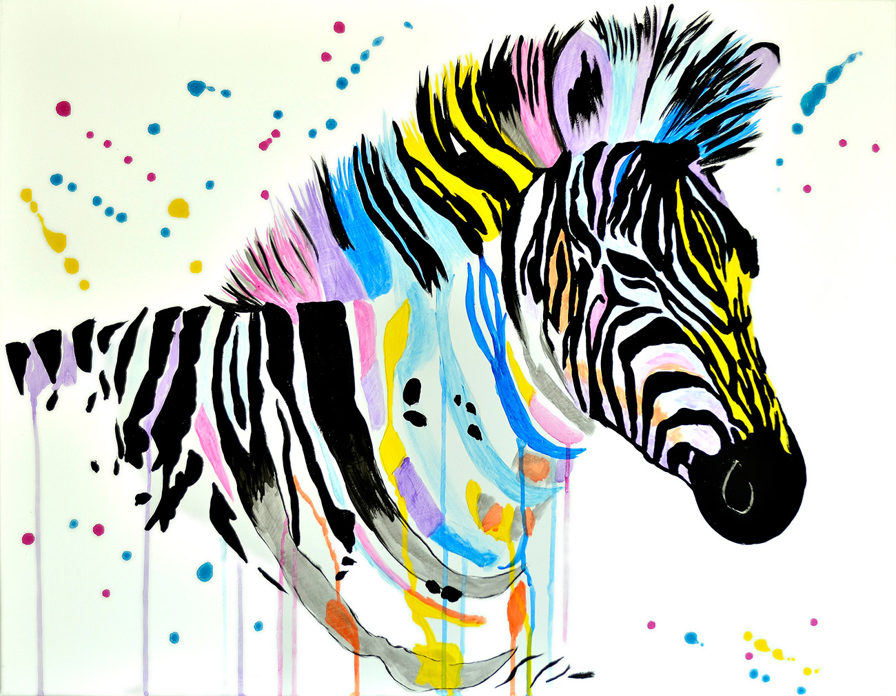 Quadro a cores de zebra