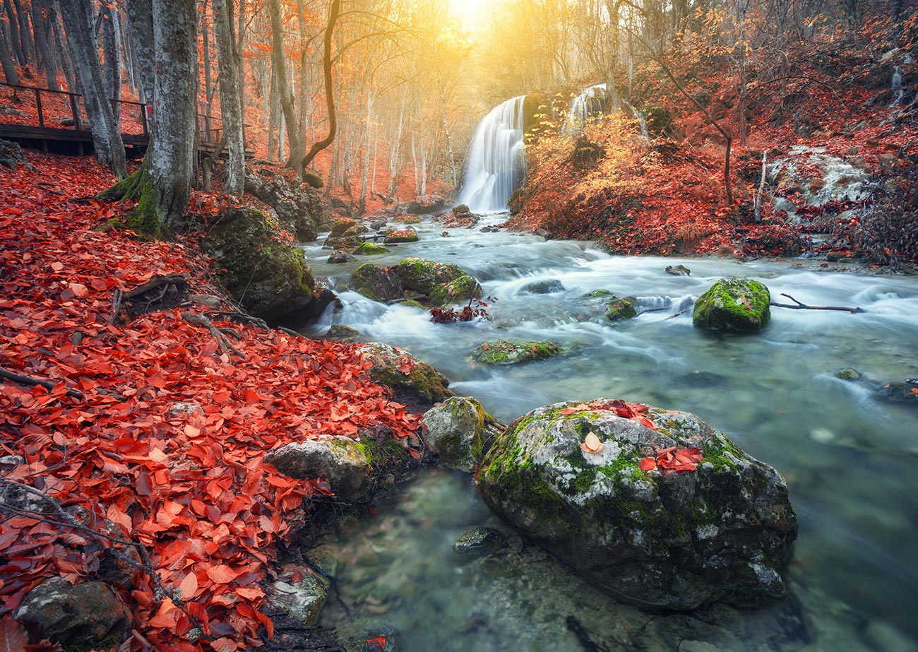 Pintura de paisagem de floresta com rio