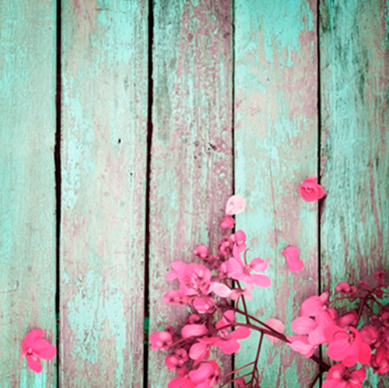 Pintura de flores rosa