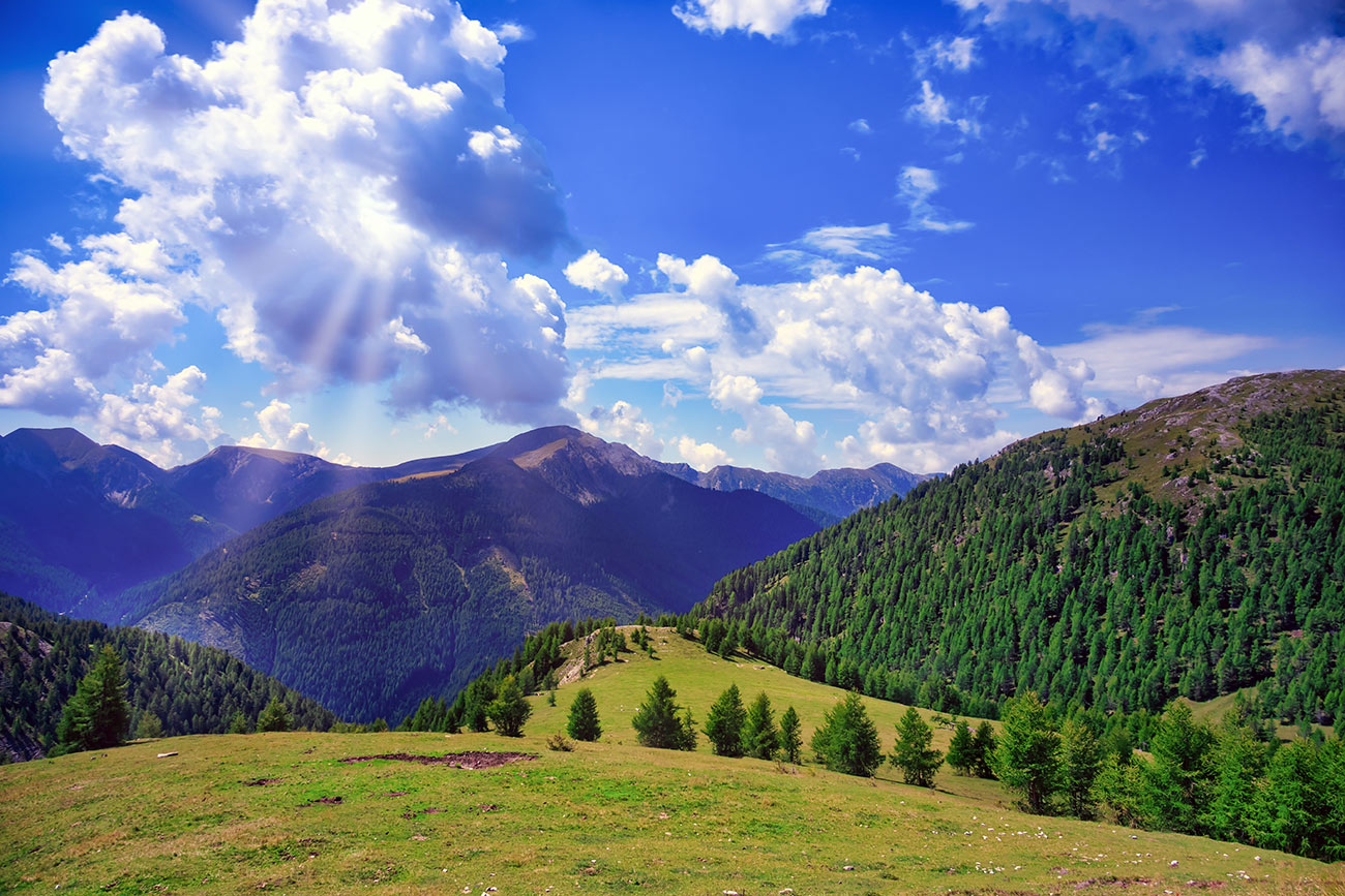 Pintura de paisagens naturais