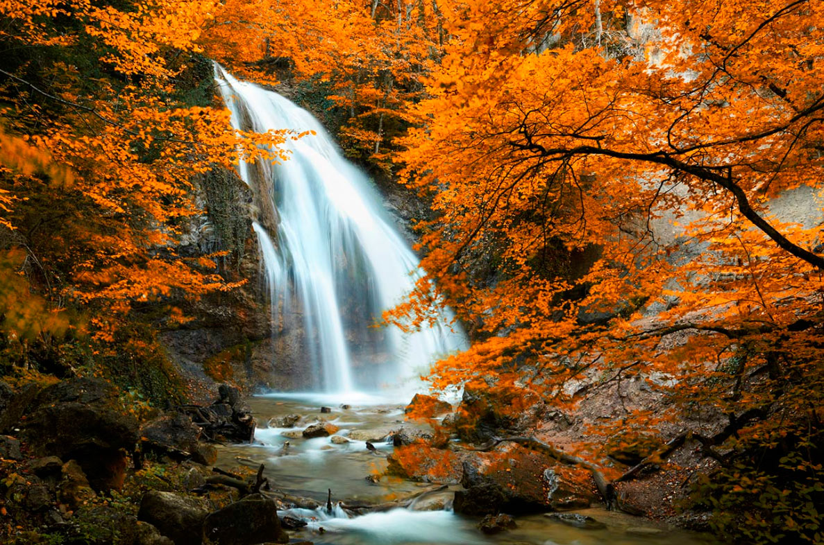 Quadro Cascata no Meio da Vegetação