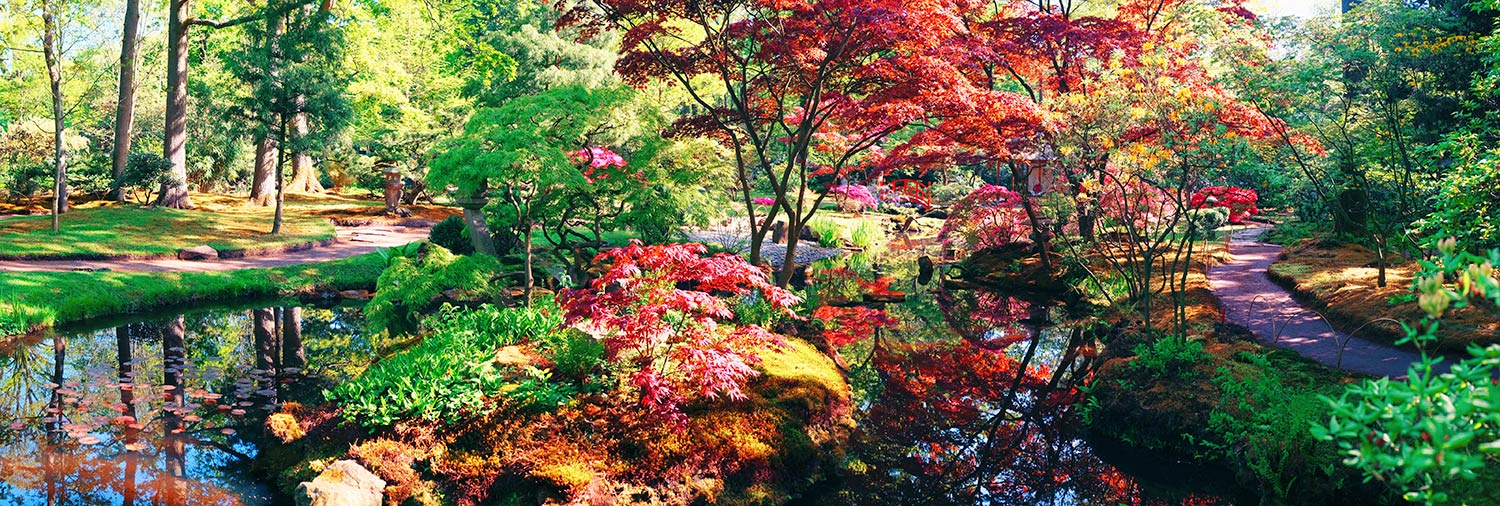 Pintura japonesa de paisagens florestais