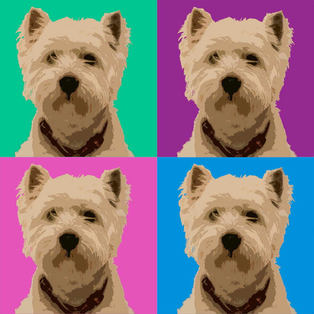 Quadro Little Dog Colors