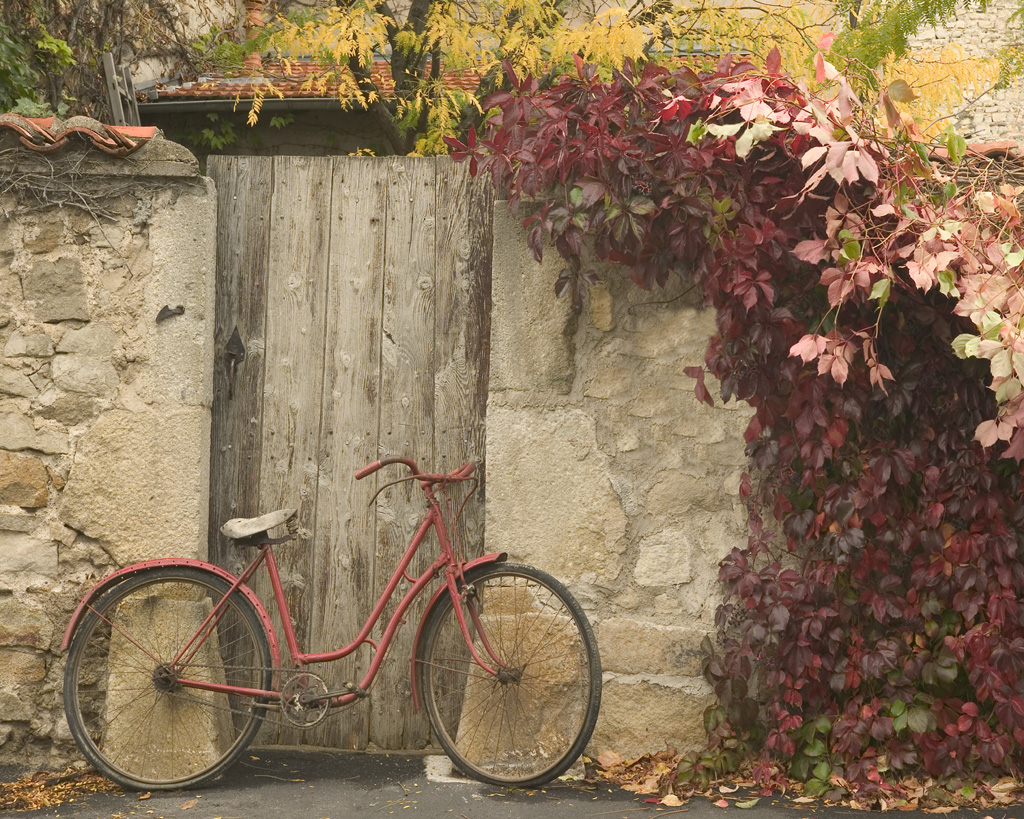 Quadro de bicicleta rosa