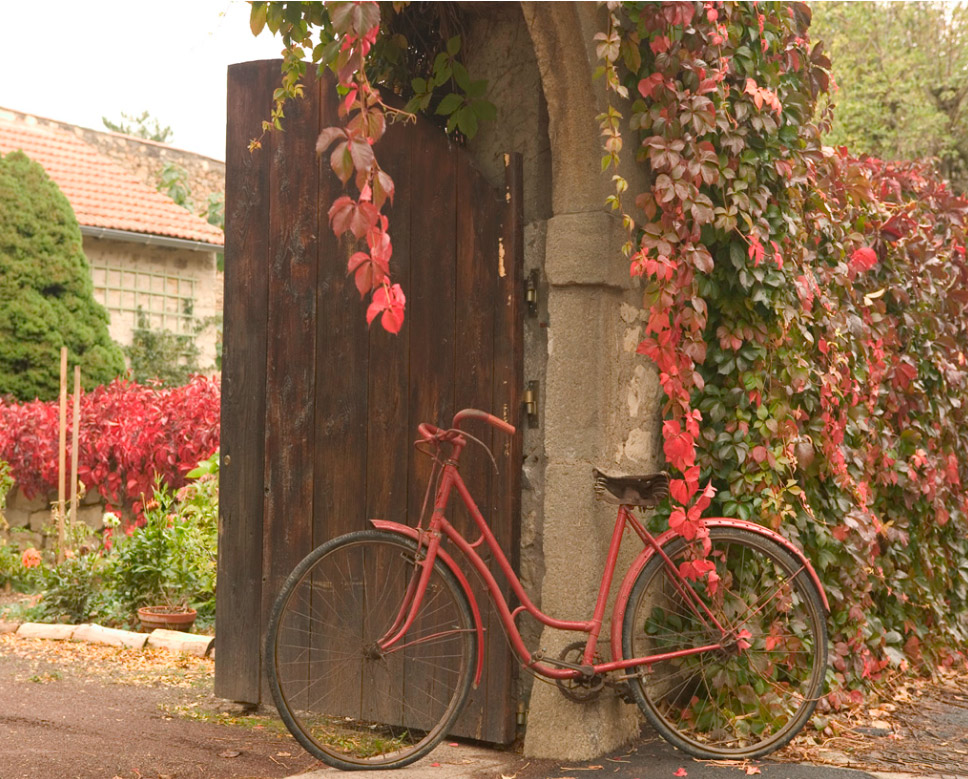 Quadro de bicicleta na natureza