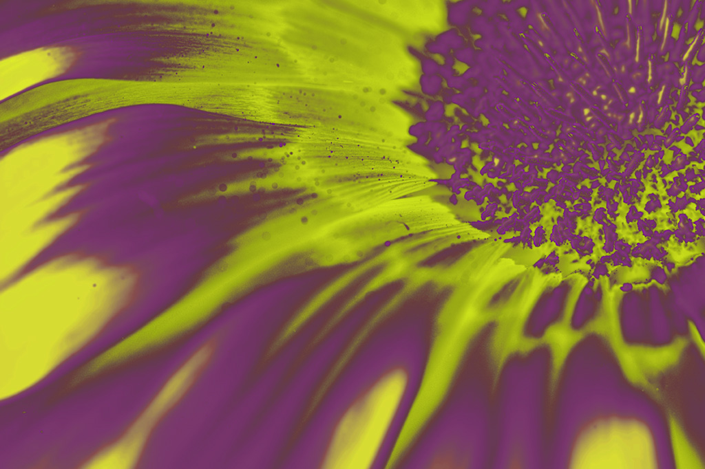 Pintura digital de flores amarelas
